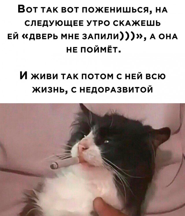 Без морали
