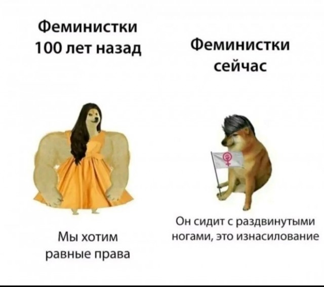 Веселые картинки в маленькую пятницу (13.08)