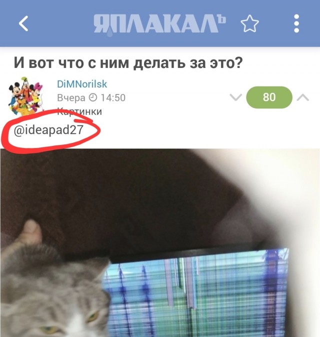 И вот что с ним делать за это?