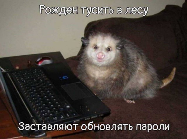Небаянистая деградация 7