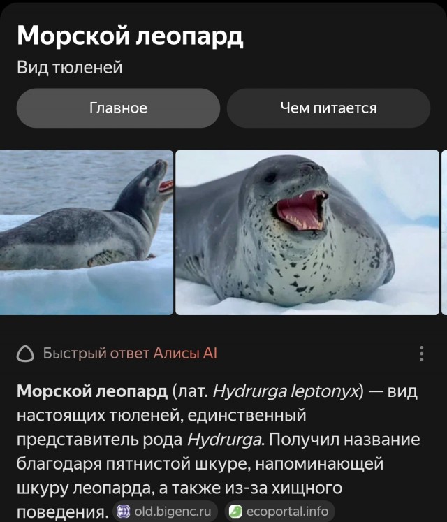 Русская субмарина