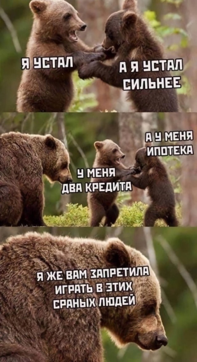 Веселые картинки в пятницу (09.10)