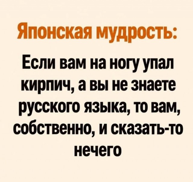 Картинки для деградации 305 (разной степени свежести)