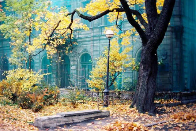 Мое хобби