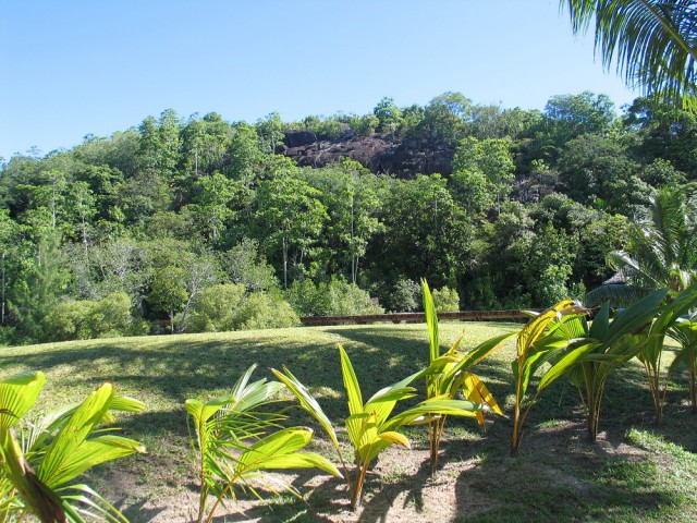 Как я съездил на Сейшелы