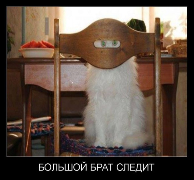 Постараюсь показать новую тему с картинками