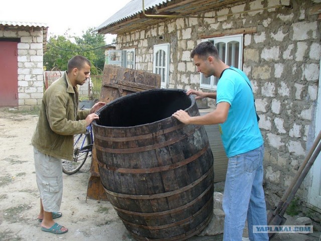 Сбор винограда в Молдавии