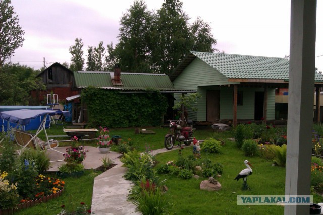 Красивые фото мотоциклов ЯВА