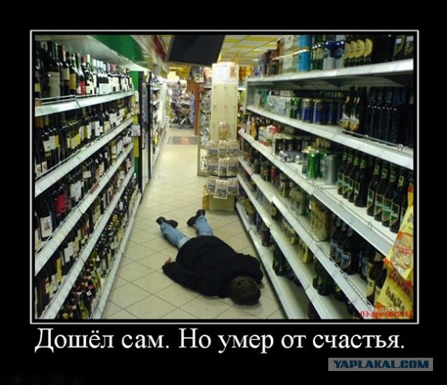 Дошутился