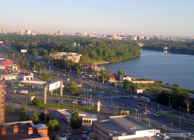 Когда деревья были большими