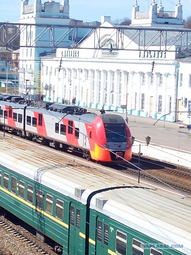 Миграция московского планктона