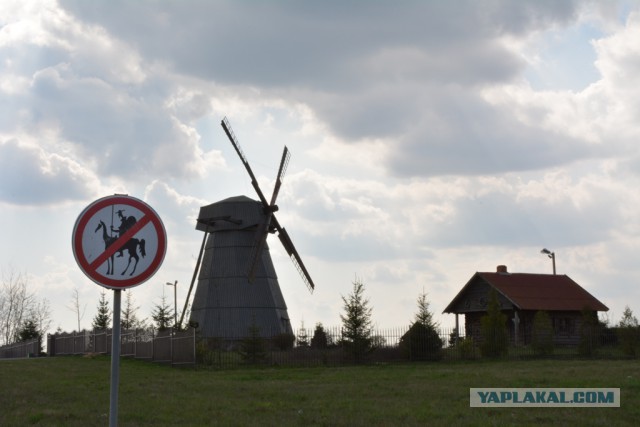 Поездка в Беларусь