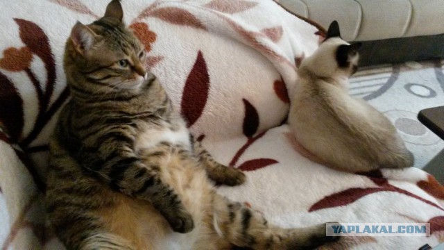 20 кадров, в которых мы невольно узнаём самих себя