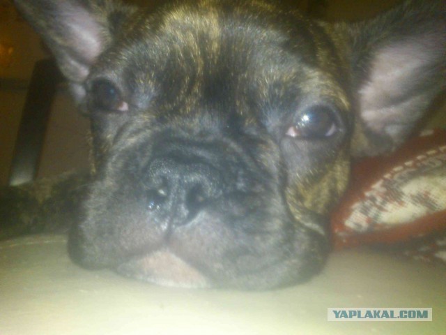 Разные картинки