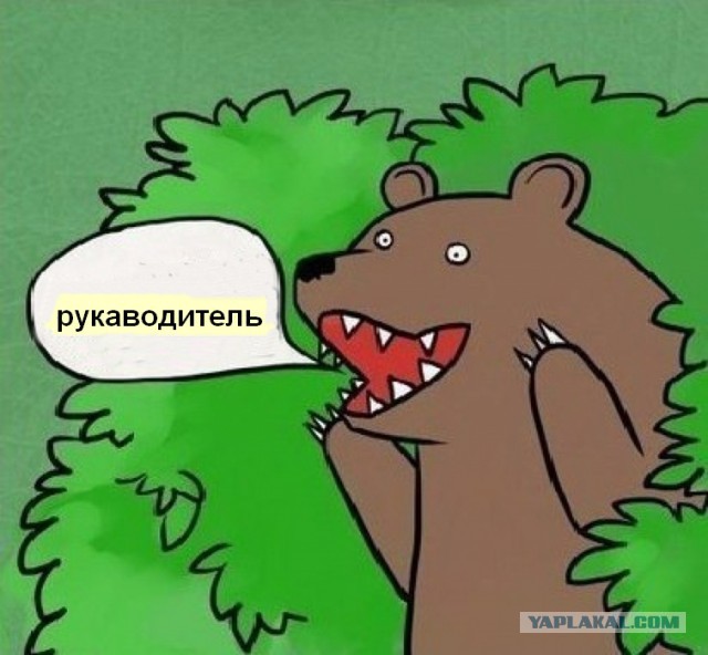 Никому руковадитель не требуется?