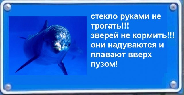 Фотожаба: Я Табличка