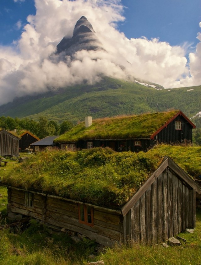 Скандинавские дома с зелёными крышами, в которых наверняка живут хоббиты