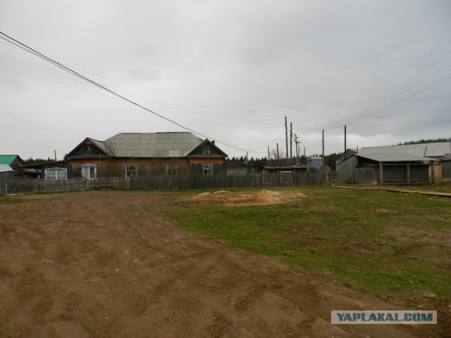Морозное доброе утро или поленница перфекциониста