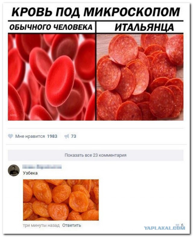 Смешные комментарии из социальных сетей 10.02.2017