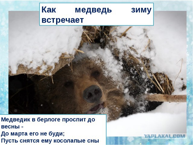 У меня было столько мужчин, что вам и не снилось