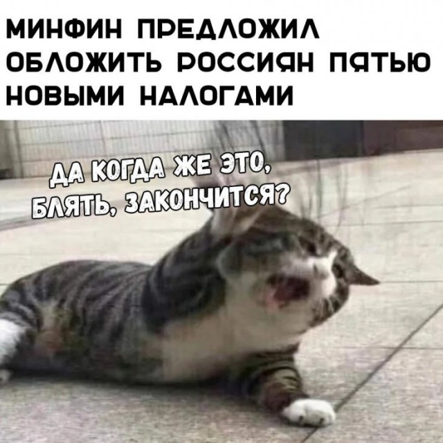 Немного картинок для настроения