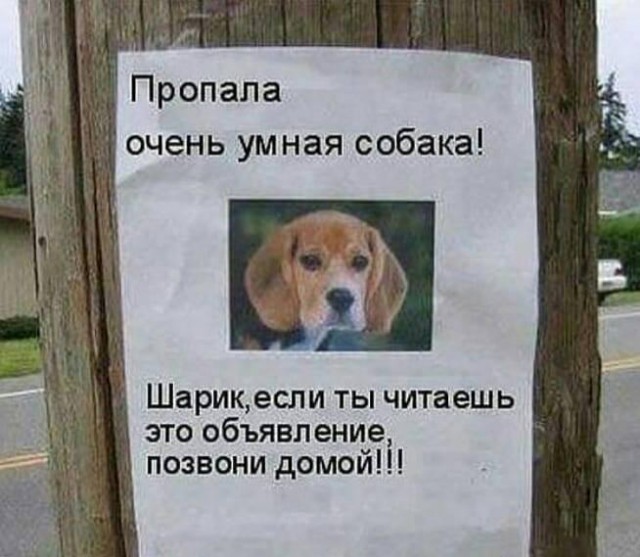Подборка весёлых картинок