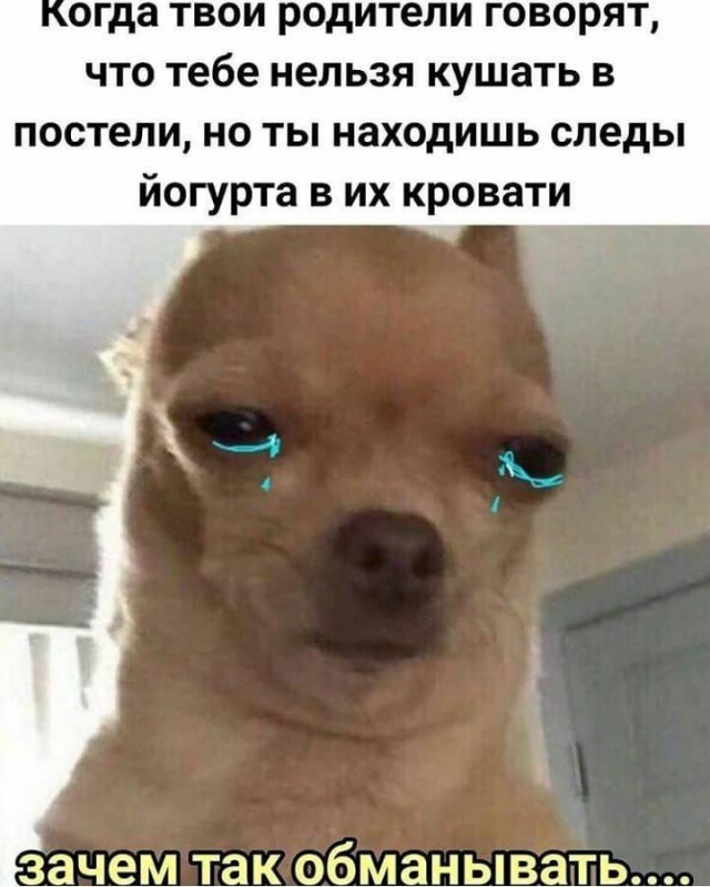 Бредзона 20.05.2020