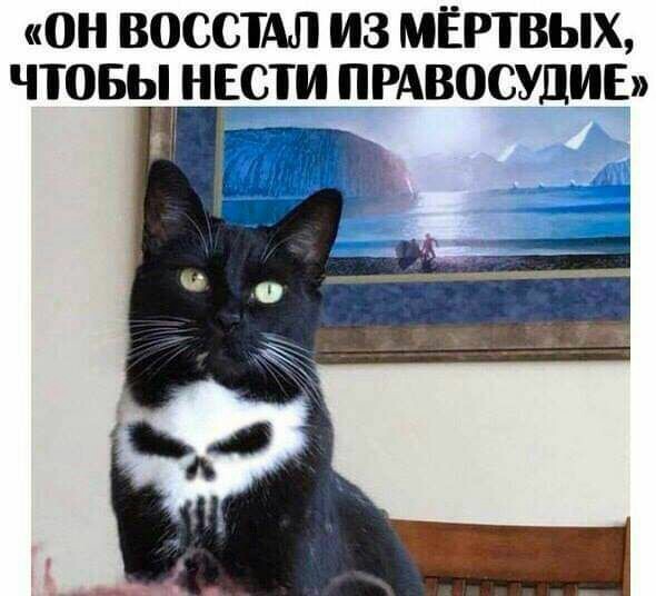 Картинки из недр интяры