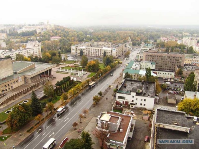 В Липецке водитель сбил группу детей