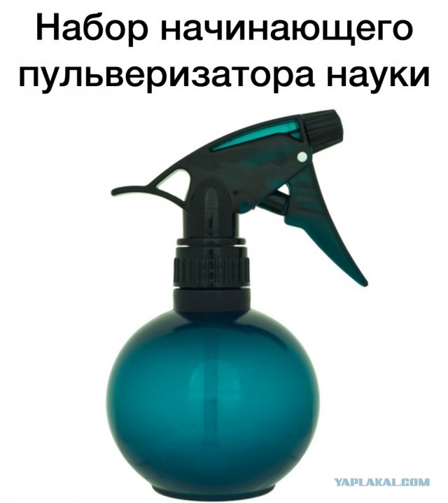 Свинегрет: картинки, надписи и прочее на 20.02.21 или №30