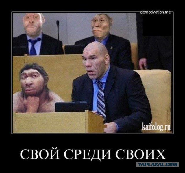 Госдума во втором чтении приняла законопроект о запрете заниматься просветительской деятельностью без разрешения властей
