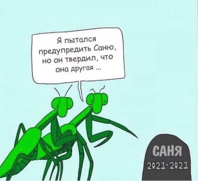 Чем порадует тырнет в субботу?