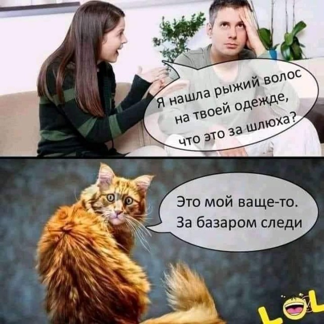 Картинки и мемы для настроения 12.08.2021