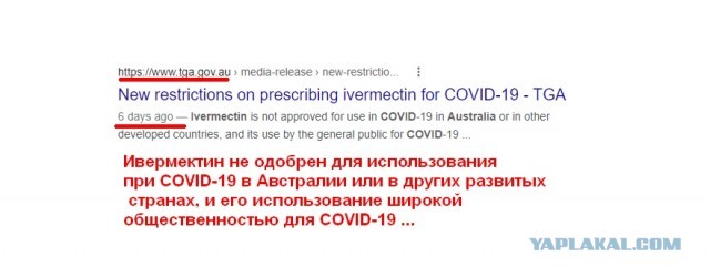 Британский директор похоронного бюро рассказывает правду
