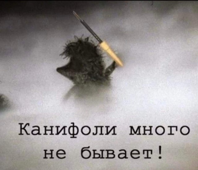 Так себе картинки 20.11.21