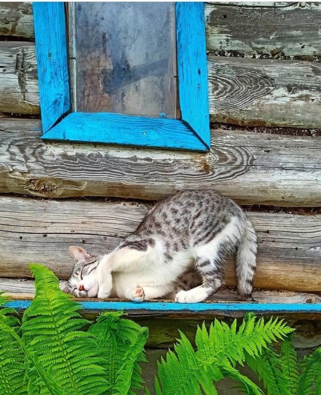Сам себя считаю