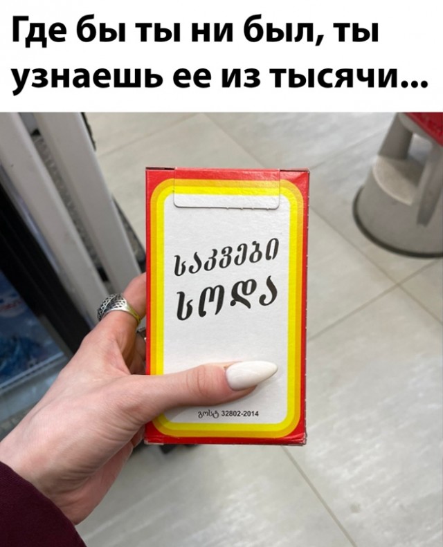 Весёлый полтишок 14.04.22