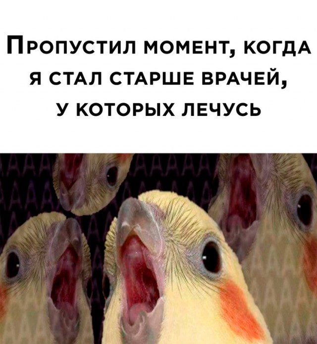 Весёлый полтишок 10.06.22