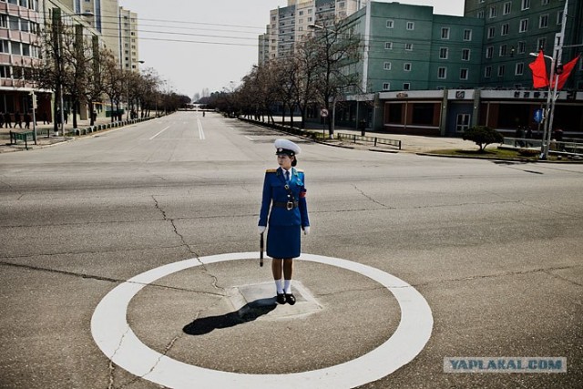 Северная Корея "в цвете"