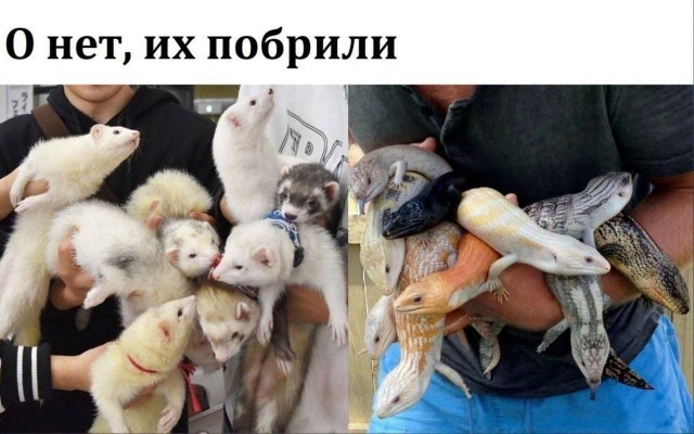 Картинки аморальные и всякие разные - 37
