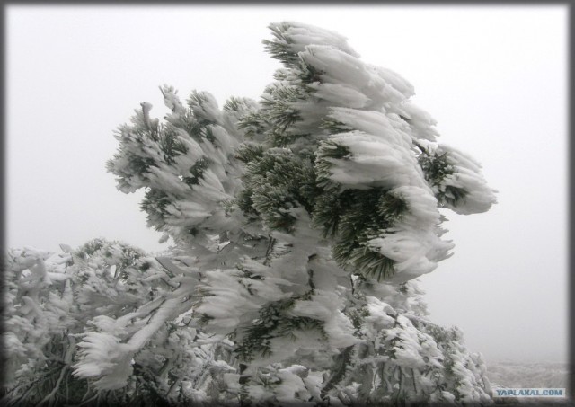 Крым. Южный Демерджи. Вершина.