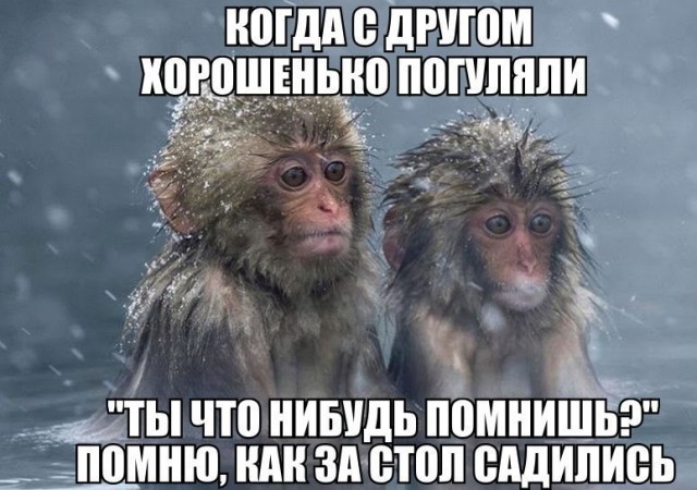 Псто с картинками