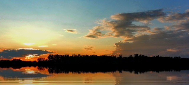 Моя мобильная фотография