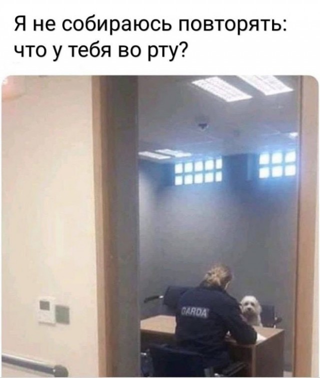 Немного картинок для настроения - 133