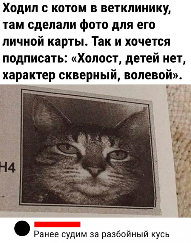 Картинок разной степени @анутости псто.
