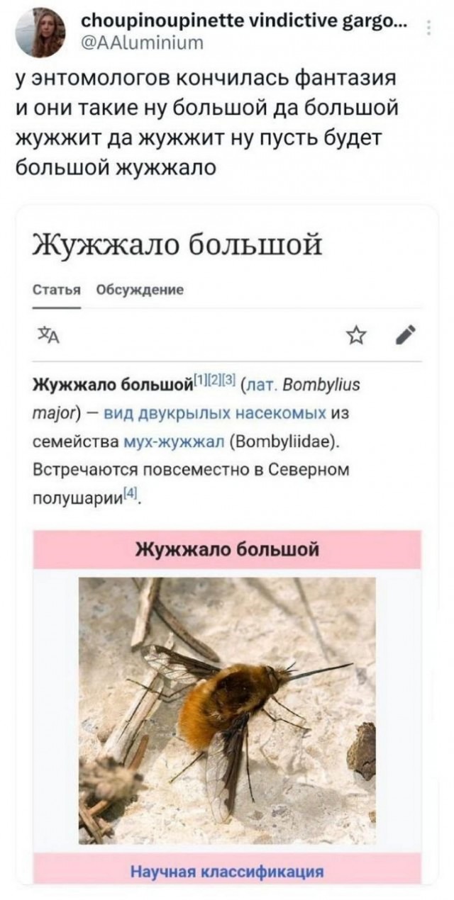 Нуштош 05.05.2023