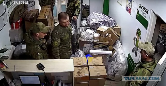Россиян могут лишить свободы на 5 лет за въезд в ЕС на своих авто