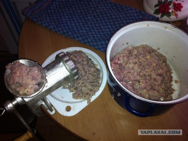 Краснопёрка (Угай дальневосточный)