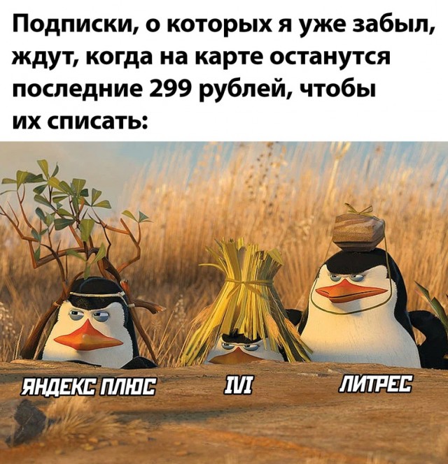 Весёлый полтшок 09.05.24