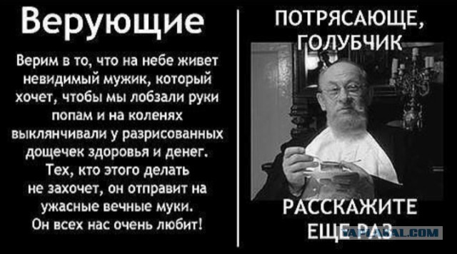 Весёлый полтишок 05.08.24